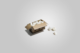 Stilllifefotografie eines Lieferkartons mit Logo von Girardent voller Implantate für den Zahnersatz.